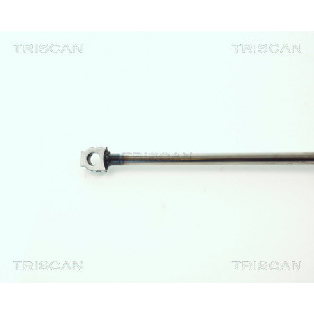 Vérin de coffre / hayon TRISCAN