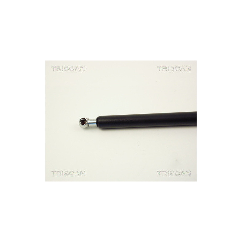 Vérin de coffre / hayon TRISCAN