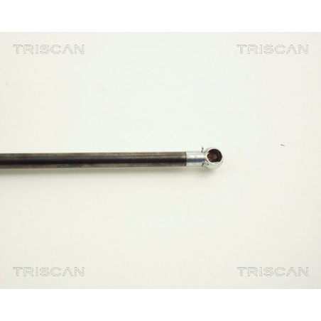 Vérin de coffre / hayon TRISCAN