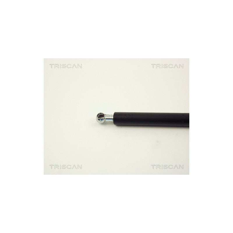 Vérin de vitre arrière TRISCAN