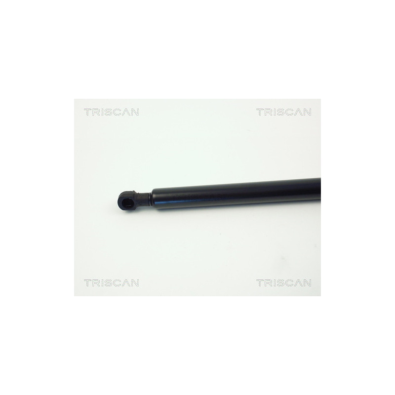 Vérin de coffre / hayon TRISCAN