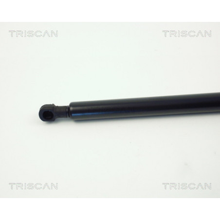 Vérin de coffre / hayon TRISCAN