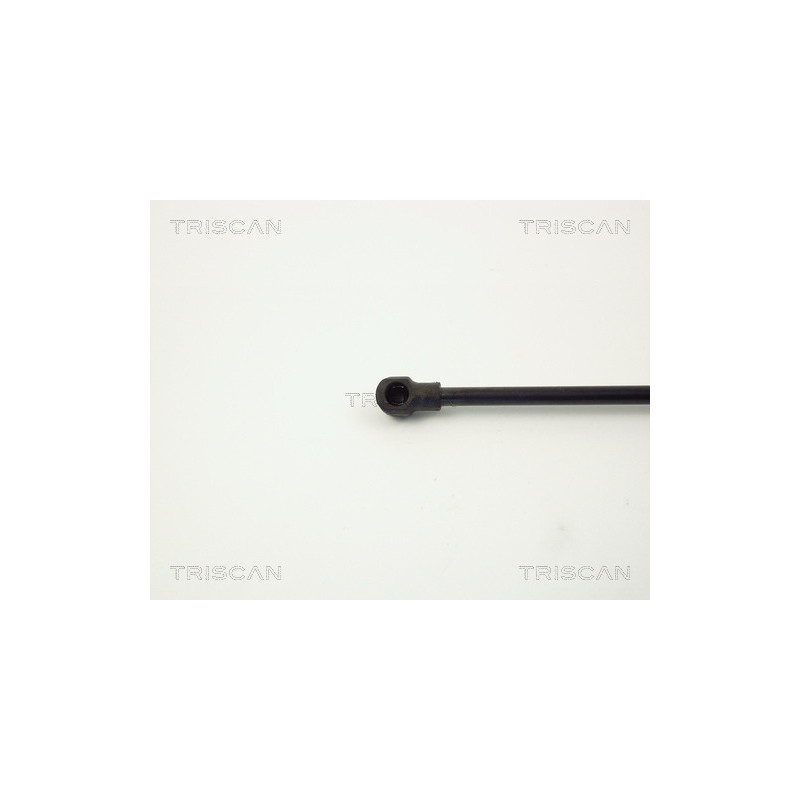 Vérin de coffre / hayon TRISCAN