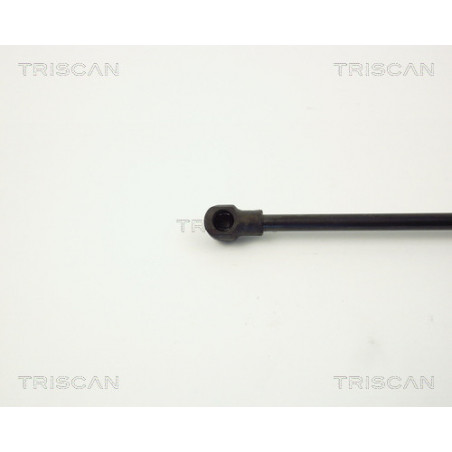 Vérin de coffre / hayon TRISCAN