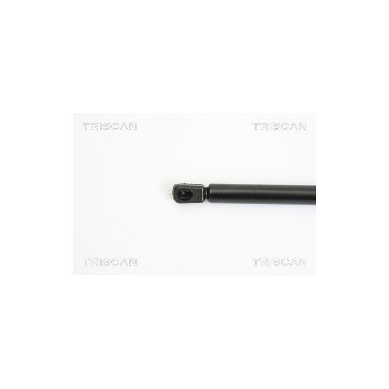 Vérin de coffre / hayon TRISCAN