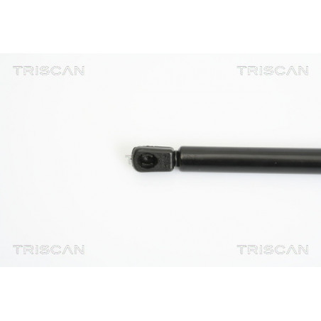 Vérin de coffre / hayon TRISCAN