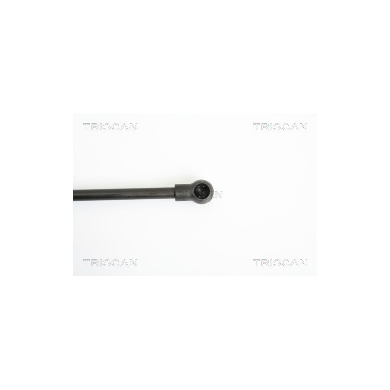 Vérin de coffre / hayon TRISCAN