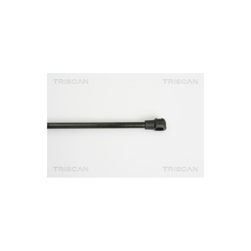 Vérin de coffre / hayon TRISCAN