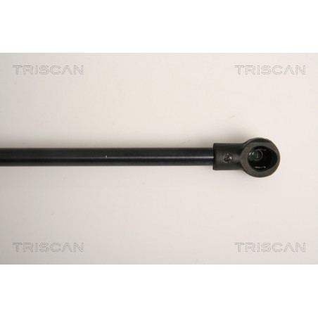 Vérin de coffre / hayon TRISCAN