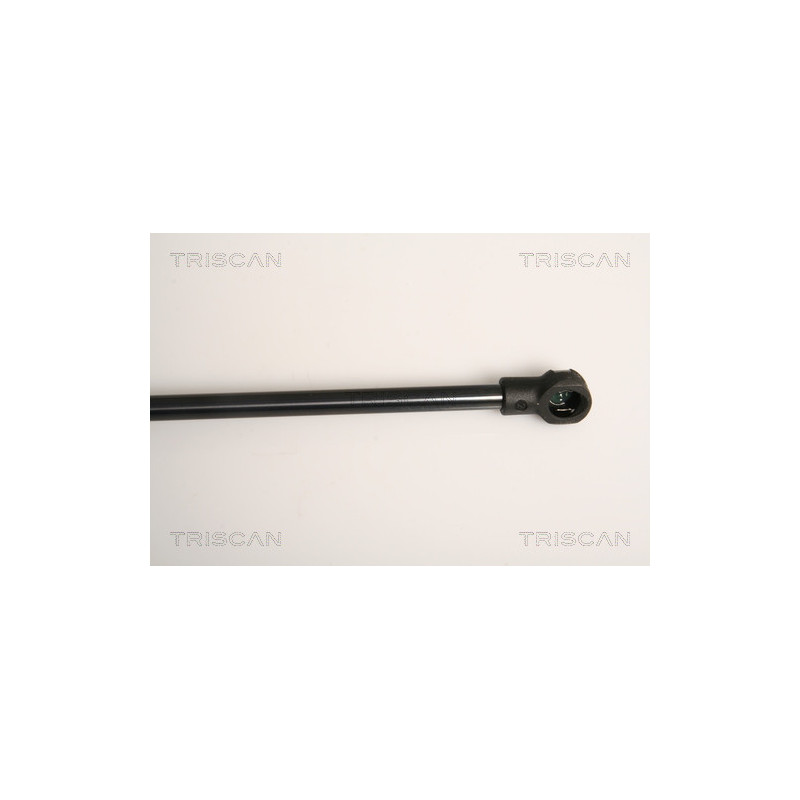 Vérin de coffre / hayon TRISCAN