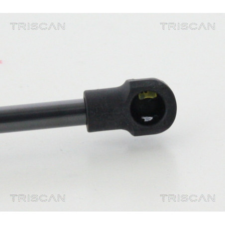 Vérin de coffre / hayon TRISCAN