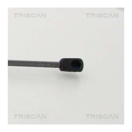 Vérin de coffre / hayon TRISCAN