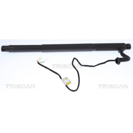 Vérin de coffre / hayon TRISCAN
