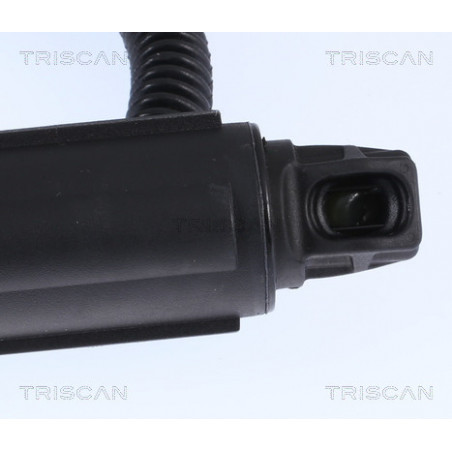 Vérin de coffre / hayon TRISCAN