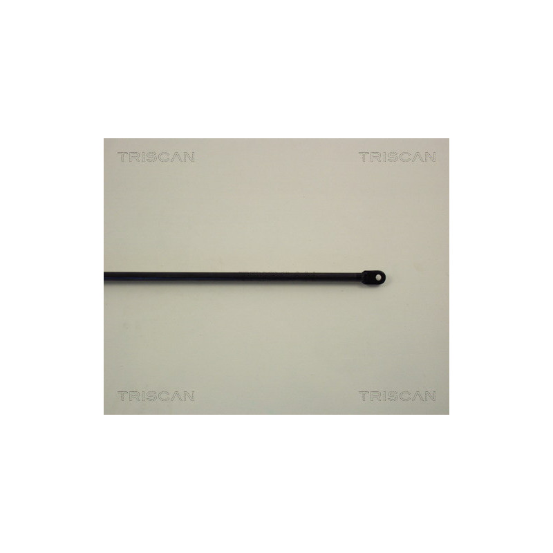 Vérin de coffre / hayon TRISCAN