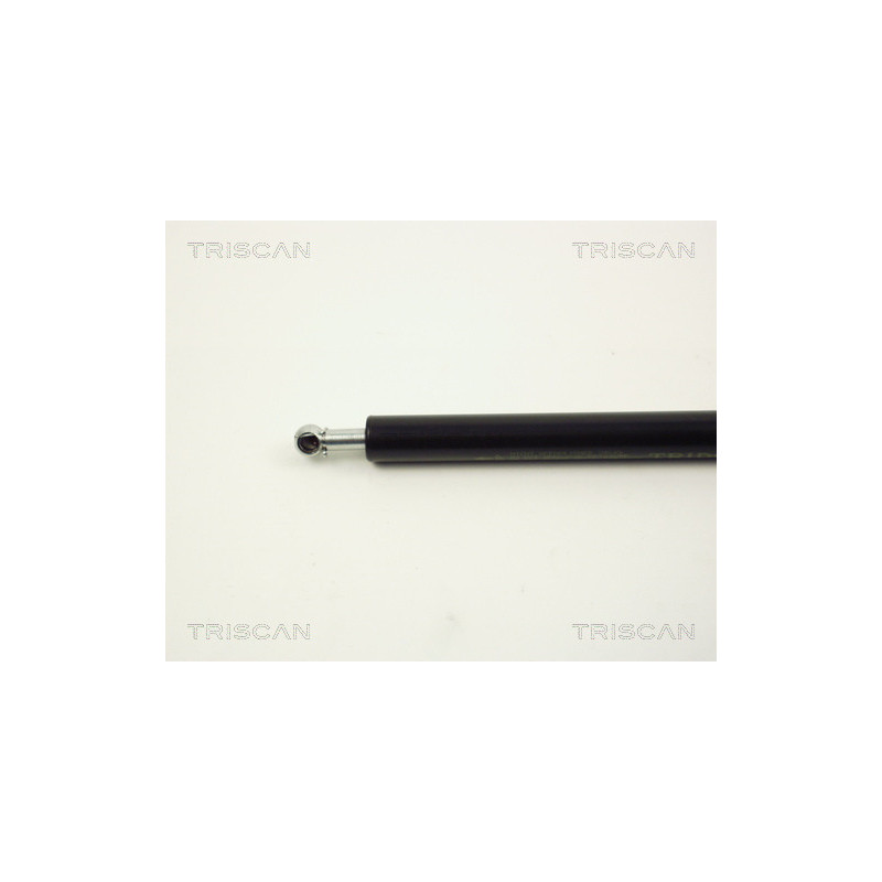 Vérin de capot TRISCAN