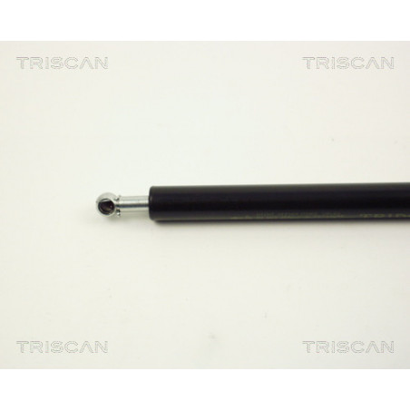 Vérin de capot TRISCAN