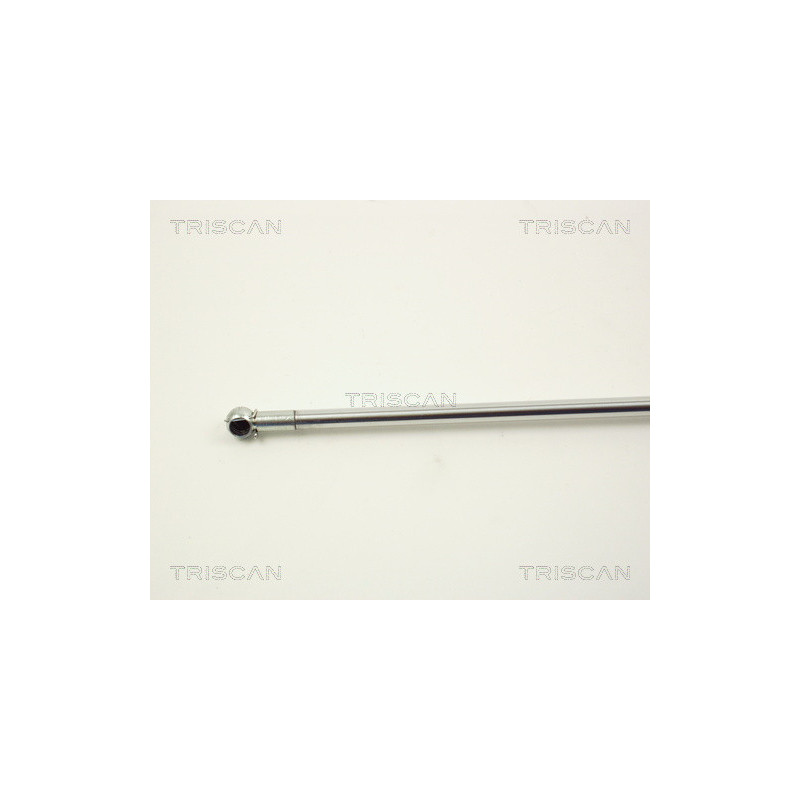 Vérin de capot TRISCAN