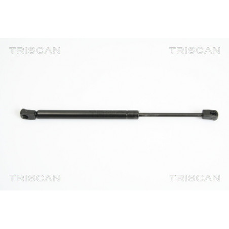 Vérin de capot TRISCAN