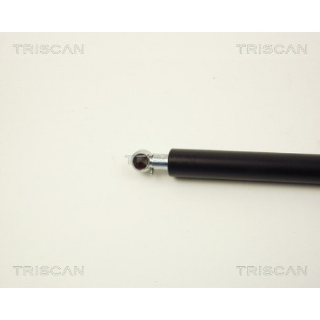 Vérin de coffre / hayon TRISCAN