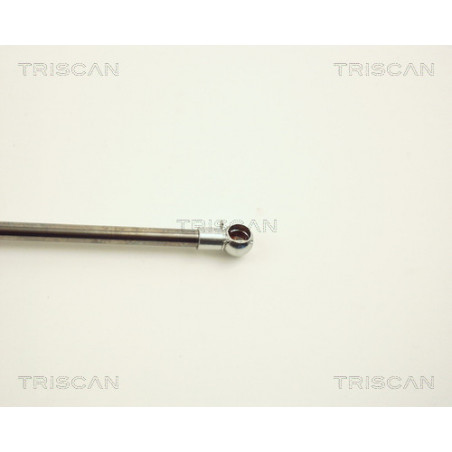 Vérin de coffre / hayon TRISCAN