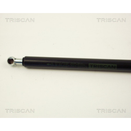 Vérin de coffre / hayon TRISCAN