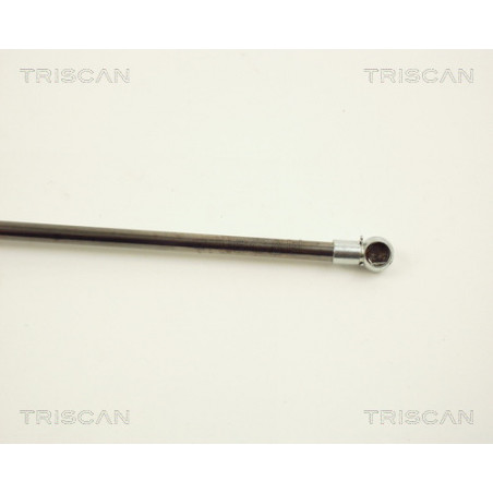 Vérin de coffre / hayon TRISCAN