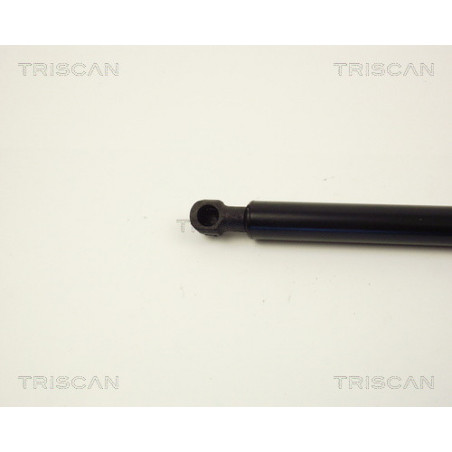 Vérin de coffre / hayon TRISCAN