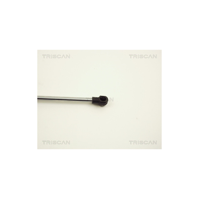 Vérin de coffre / hayon TRISCAN