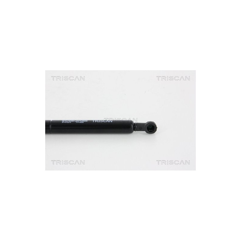 Vérin de coffre / hayon TRISCAN
