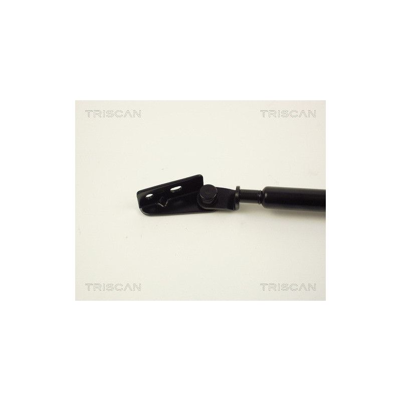 Vérin de coffre / hayon TRISCAN