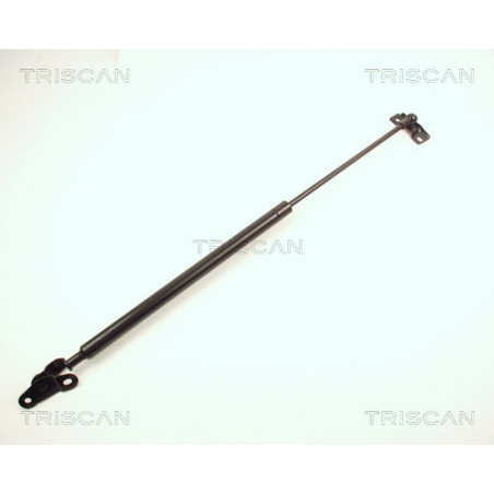 Vérin de coffre / hayon...