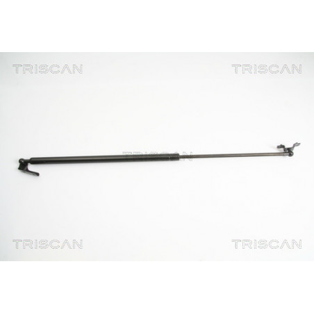 Vérin de coffre / hayon TRISCAN