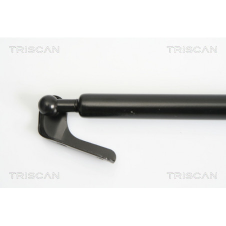 Vérin de coffre / hayon TRISCAN