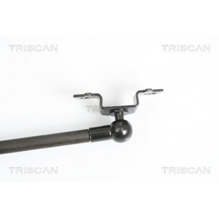 Vérin de coffre / hayon TRISCAN