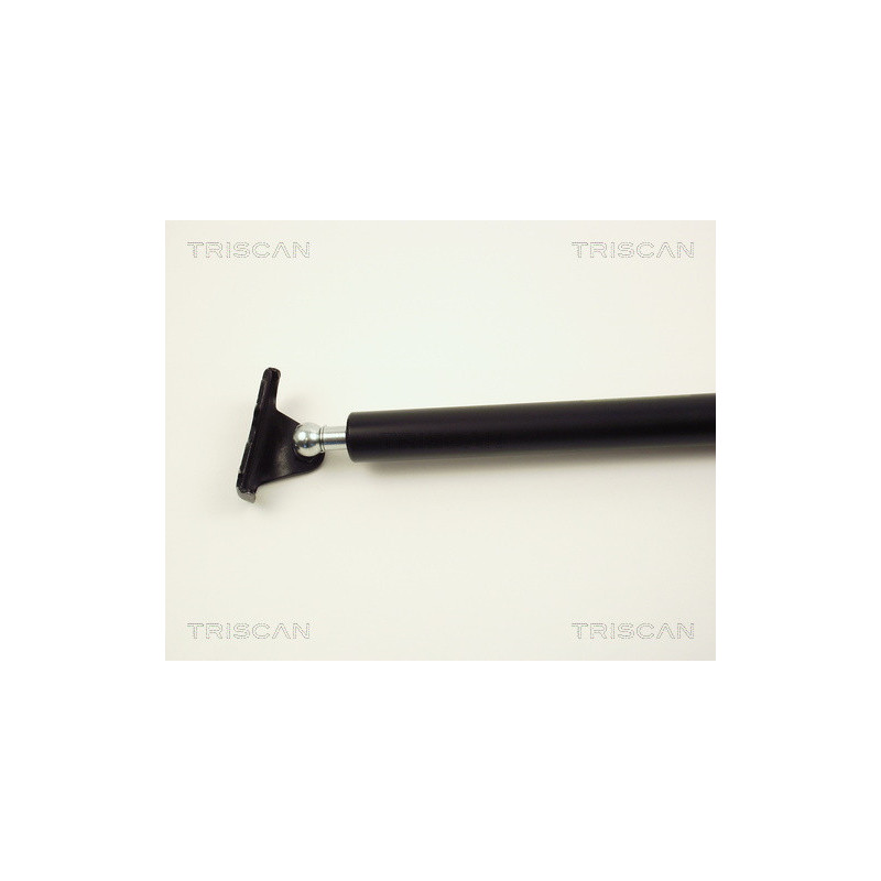 Vérin de coffre / hayon TRISCAN