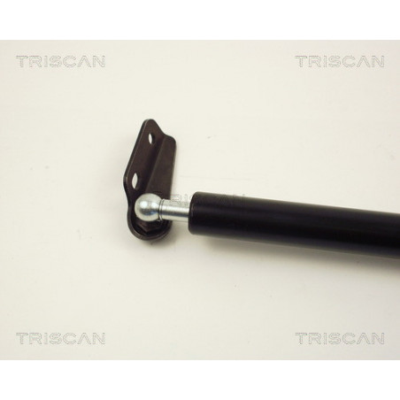 Vérin de coffre / hayon TRISCAN