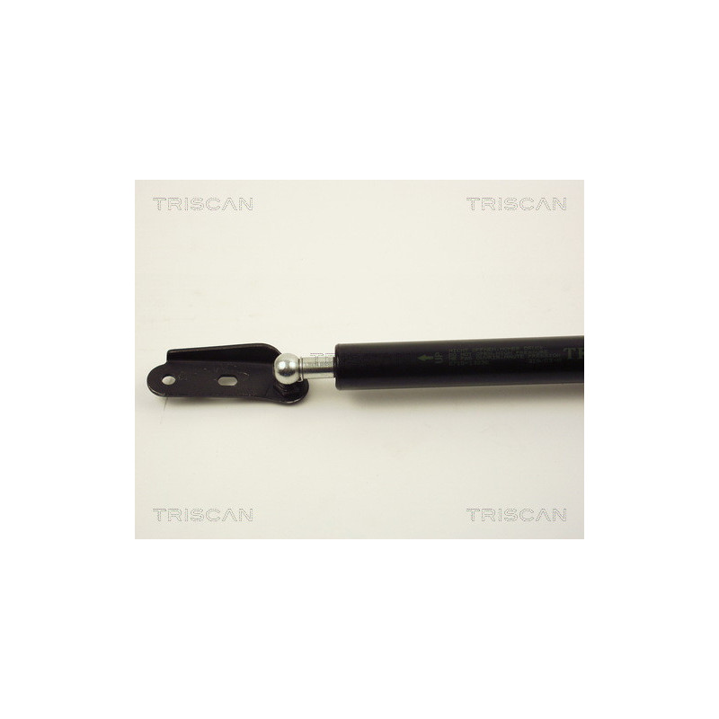 Vérin de coffre / hayon TRISCAN