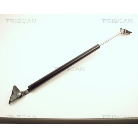 Vérin de coffre / hayon TRISCAN