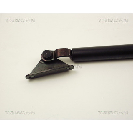 Vérin de coffre / hayon TRISCAN