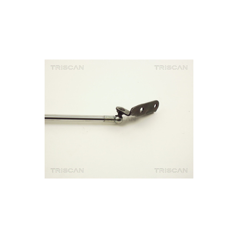 Vérin de coffre / hayon TRISCAN