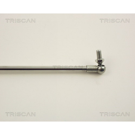 Vérin de coffre / hayon TRISCAN