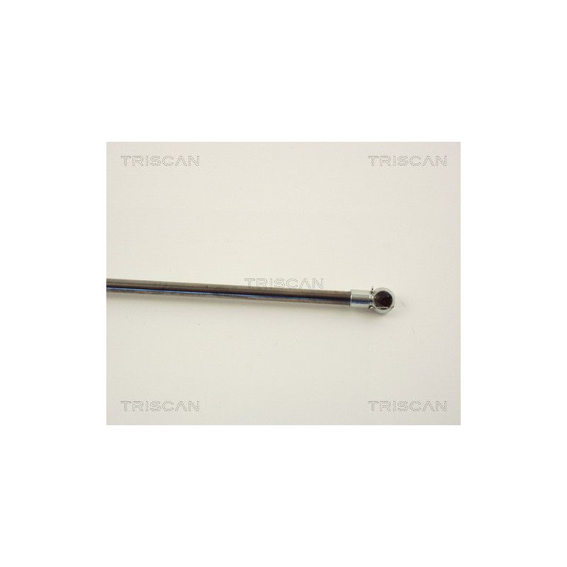 Vérin de coffre / hayon TRISCAN