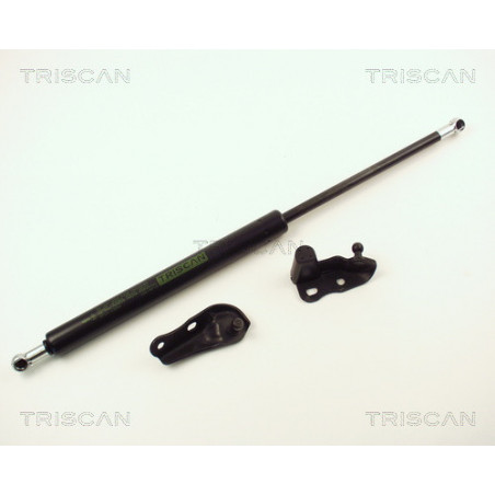 Vérin de coffre / hayon...