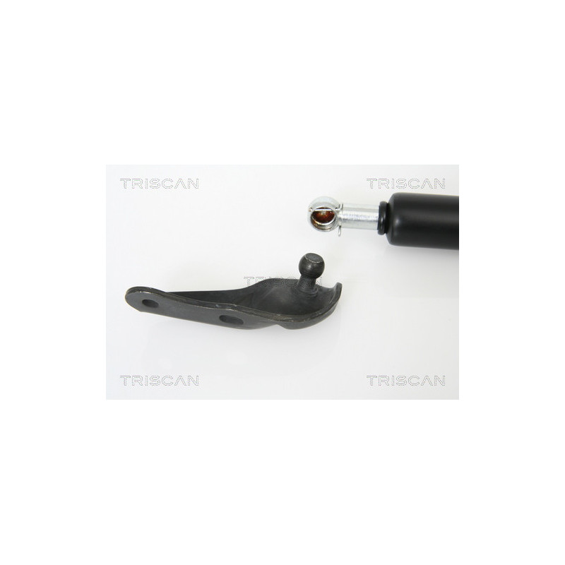 Vérin de coffre / hayon TRISCAN