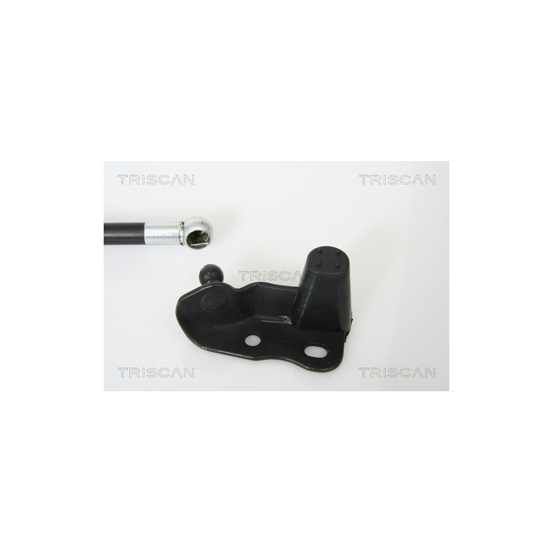 Vérin de coffre / hayon TRISCAN