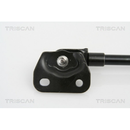 Vérin de coffre / hayon TRISCAN