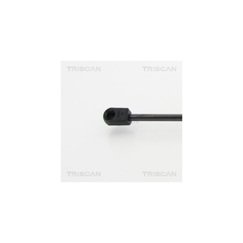 Vérin de coffre / hayon TRISCAN