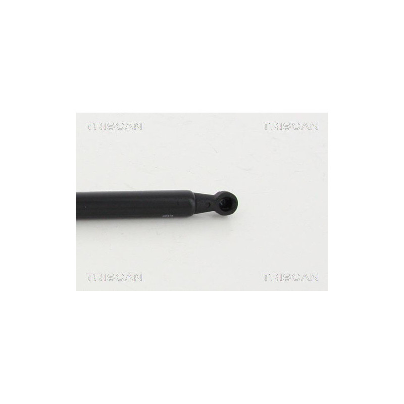 Vérin de coffre / hayon TRISCAN