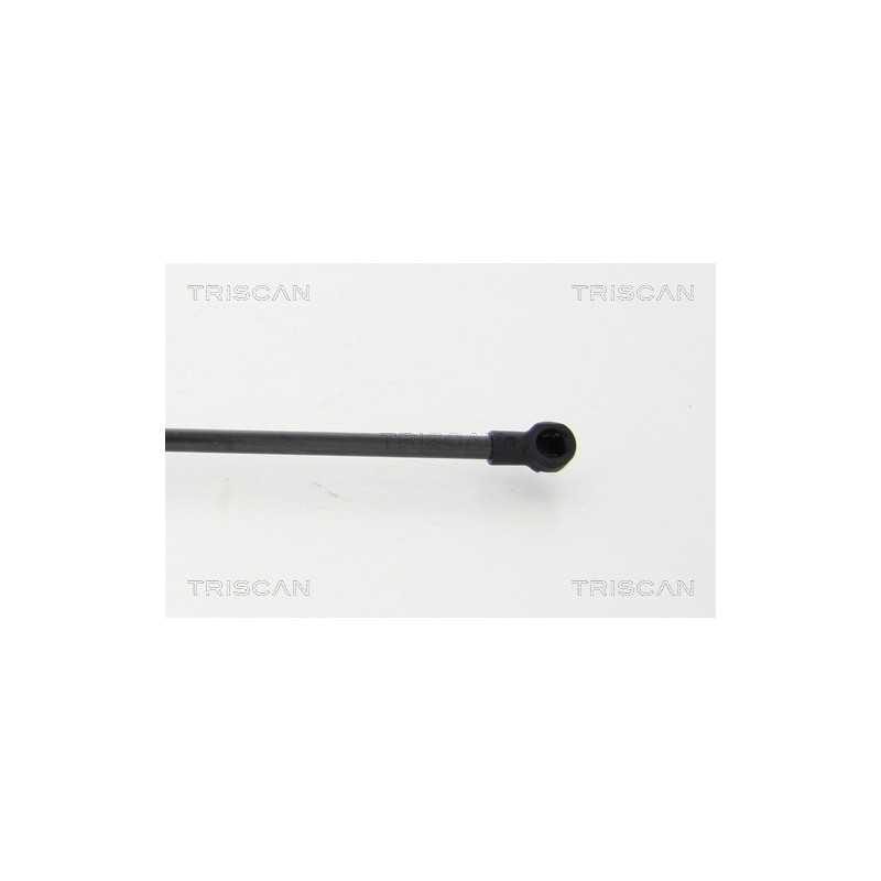 Vérin de coffre / hayon TRISCAN